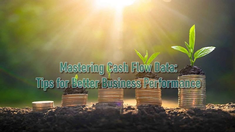 Mastering Cash Flow Data: Tips for Better Business Performance
